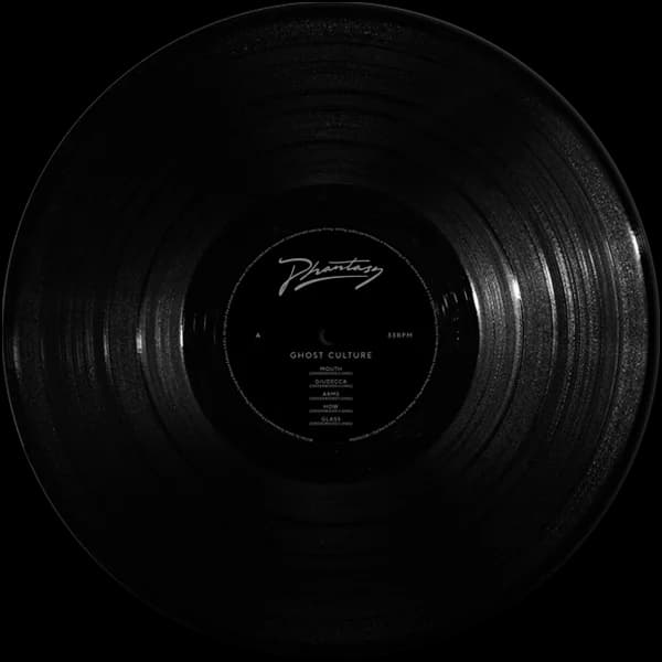 vinyl disc
