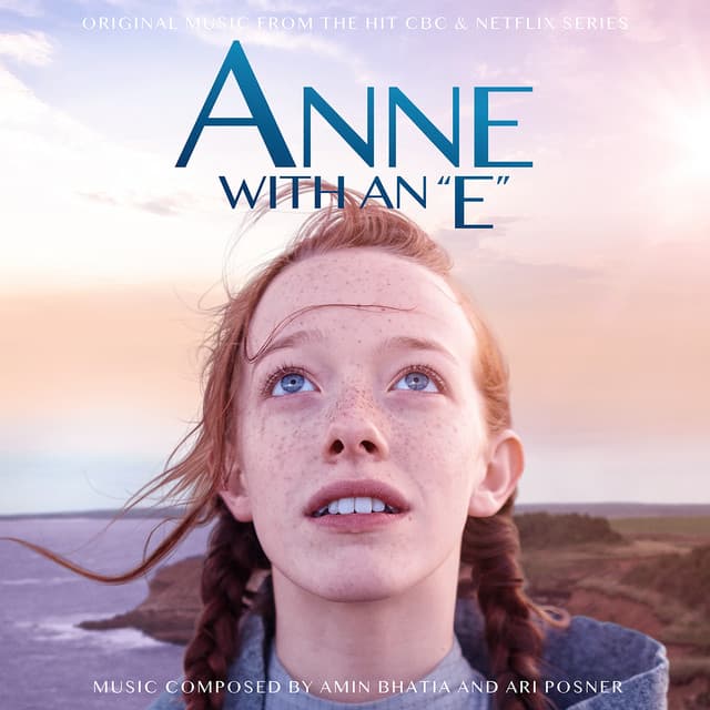 vynil cover