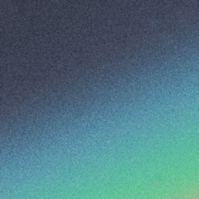 vynil cover
